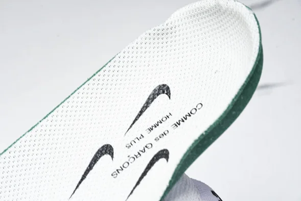 Nike ACG Mountain Fly 2 Low SP FZ3311 100 