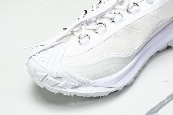 Nike ACG Mountain Fly 2 Low SP FZ3311 100 