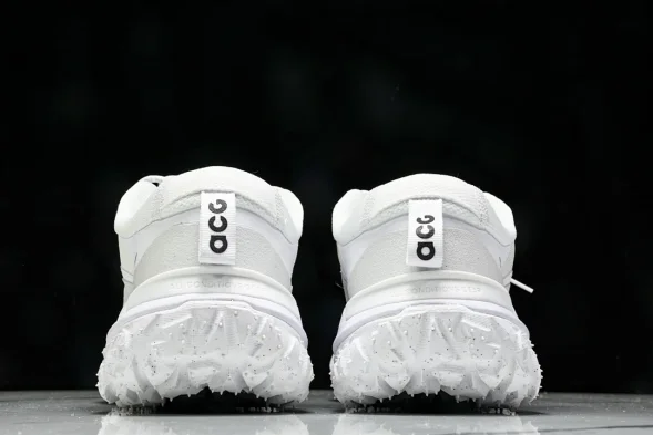 Nike ACG Mountain Fly 2 Low SP FZ3311 100 
