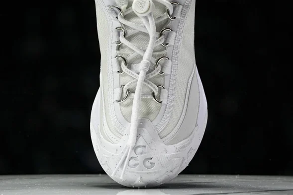 Nike ACG Mountain Fly 2 Low SP FZ3311 100 