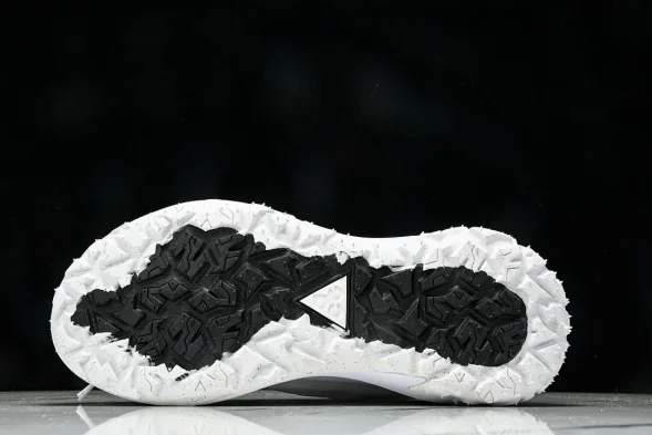 Nike ACG Mountain Fly 2 Low SP FZ3311 100 
