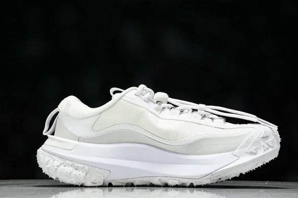 Nike ACG Mountain Fly 2 Low SP FZ3311 100 
