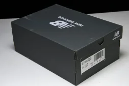 New Balance 1906 M1906RZC