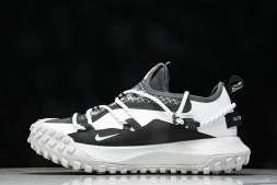 Nike ACG Mountain Fly Low GTX SE D09334 100