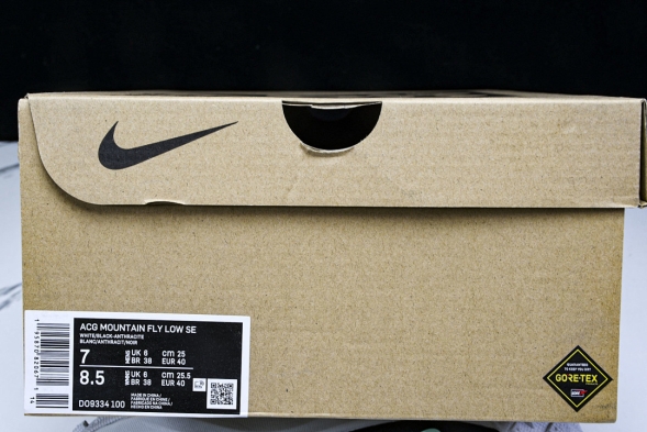 Nike ACG Mountain Fly Low GTX SE D09334 100 