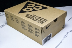 Nike ACG Mountain Fly Low GTX SE D09334 100