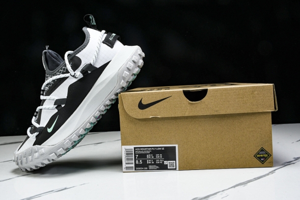Nike ACG Mountain Fly Low GTX SE D09334 100 
