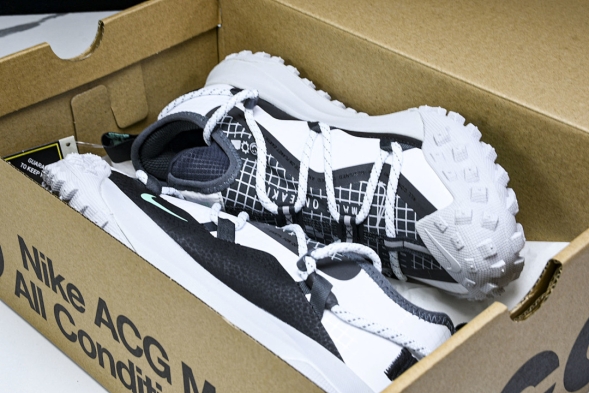 Nike ACG Mountain Fly Low GTX SE D09334 100 