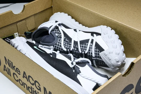 Nike ACG Mountain Fly Low GTX SE D09334 100 