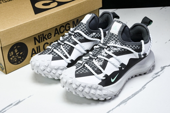 Nike ACG Mountain Fly Low GTX SE D09334 100 