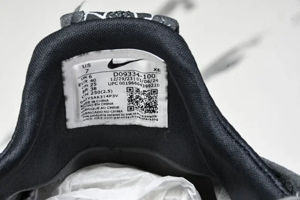 Nike ACG Mountain Fly Low GTX SE D09334 100 