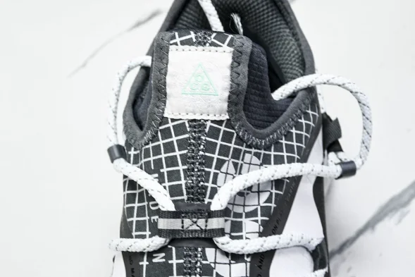 Nike ACG Mountain Fly Low GTX SE D09334 100 
