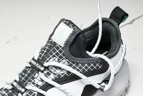 Nike ACG Mountain Fly Low GTX SE D09334 100 