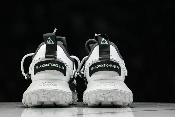 Nike ACG Mountain Fly Low GTX SE D09334 100 