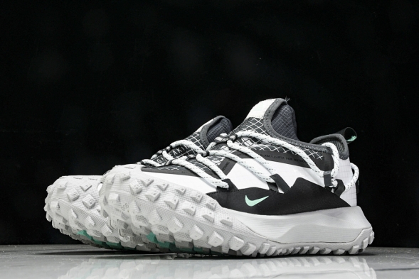 Nike ACG Mountain Fly Low GTX SE D09334 100 