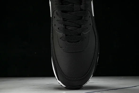Nike Air Max 90 CD6864-029 