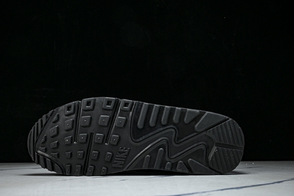 Nike Air Max 90 CD6864-029 