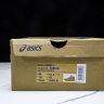 Asics Nova Surge 3 1061A048-700