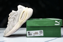 Puma Inverse Rev 401645 02