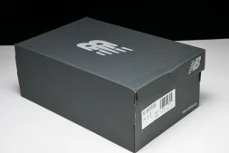 New Balance 1906 M1906RSB