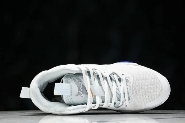 Asics Nova Surge 3 1061A048-100 