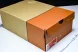 Nike Air Max 95 x Corteiz FB2709-001 